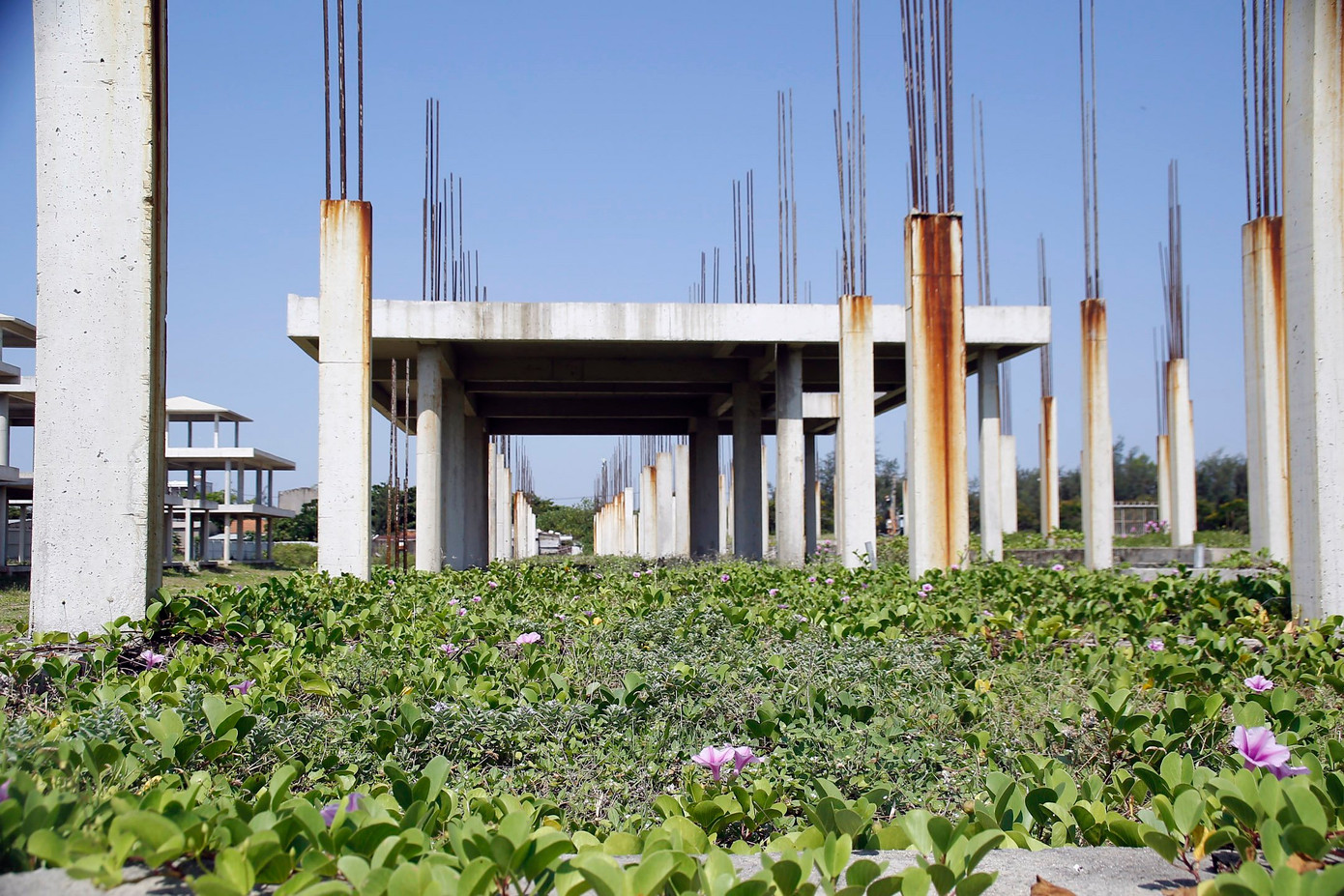 Dự án do Công ty CP Kinh doanh quản lý bất động sản Trung Kỳ - Viêm Đông làm chủ đầu tư. Dự án được cấp chủ trương năm 2014 nhưng đến nay nơi đây vẫn là cảnh dở dang, nham nhở. Dự án do Công ty CP Kinh doanh quản lý bất động sản Trung Kỳ - Viêm Đông làm chủ đầu tư. Dự án được cấp chủ trương năm 2014 nhưng đến nay nơi đây vẫn là cảnh dở dang, nham nhở.