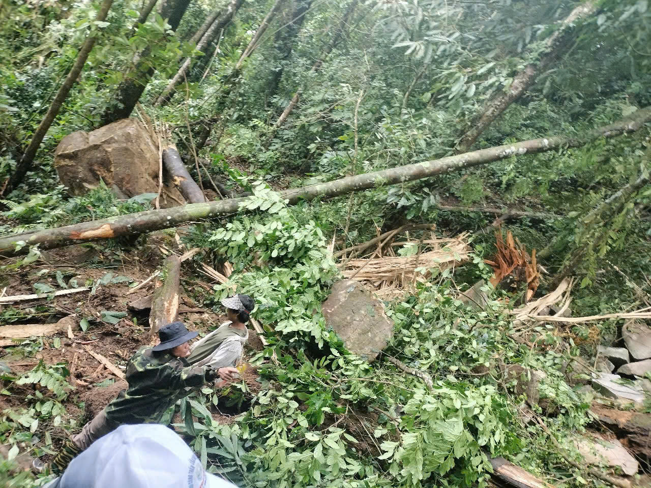 Nhiều tảng đá lớn rơi xuống làng Tu Hon, xã Trà Don, huyện Nam Trà My, Quảng Nam. Ảnh CQCC Nhiều tảng đá lớn rơi xuống làng Tu Hon, xã Trà Don, huyện Nam Trà My, Quảng Nam. Ảnh CQCC