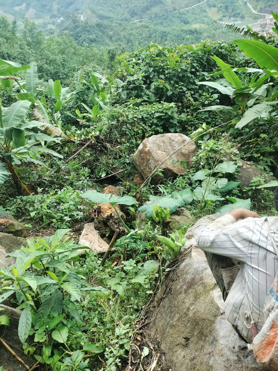 Nhiều tảng đá lớn lăn xuống ngôi làng Tu Hon sau các trận động đất kích thích. Nhiều tảng đá lớn lăn xuống ngôi làng Tu Hon sau các trận động đất kích thích.