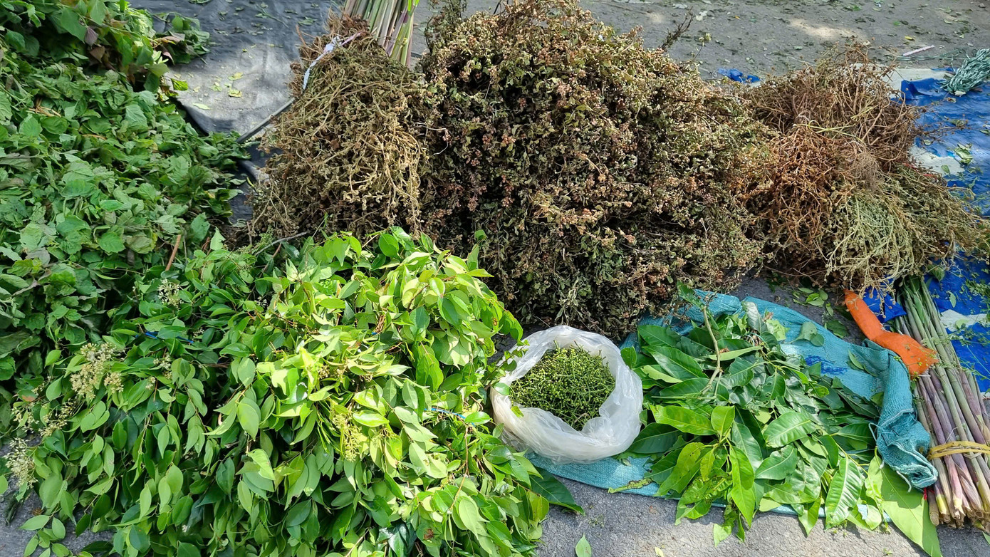 Rất nhiều loại lá như hương nhu, hoa khóm, lá nổ, ngát hương, huỳnh đàn…giá từ 10 - 20 nghìn đồng/ bó.