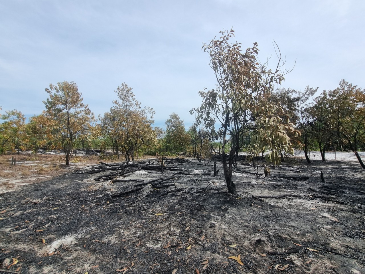 Hình ảnh sau buổi diễn tập PCCC. Hình ảnh sau buổi diễn tập PCCC.