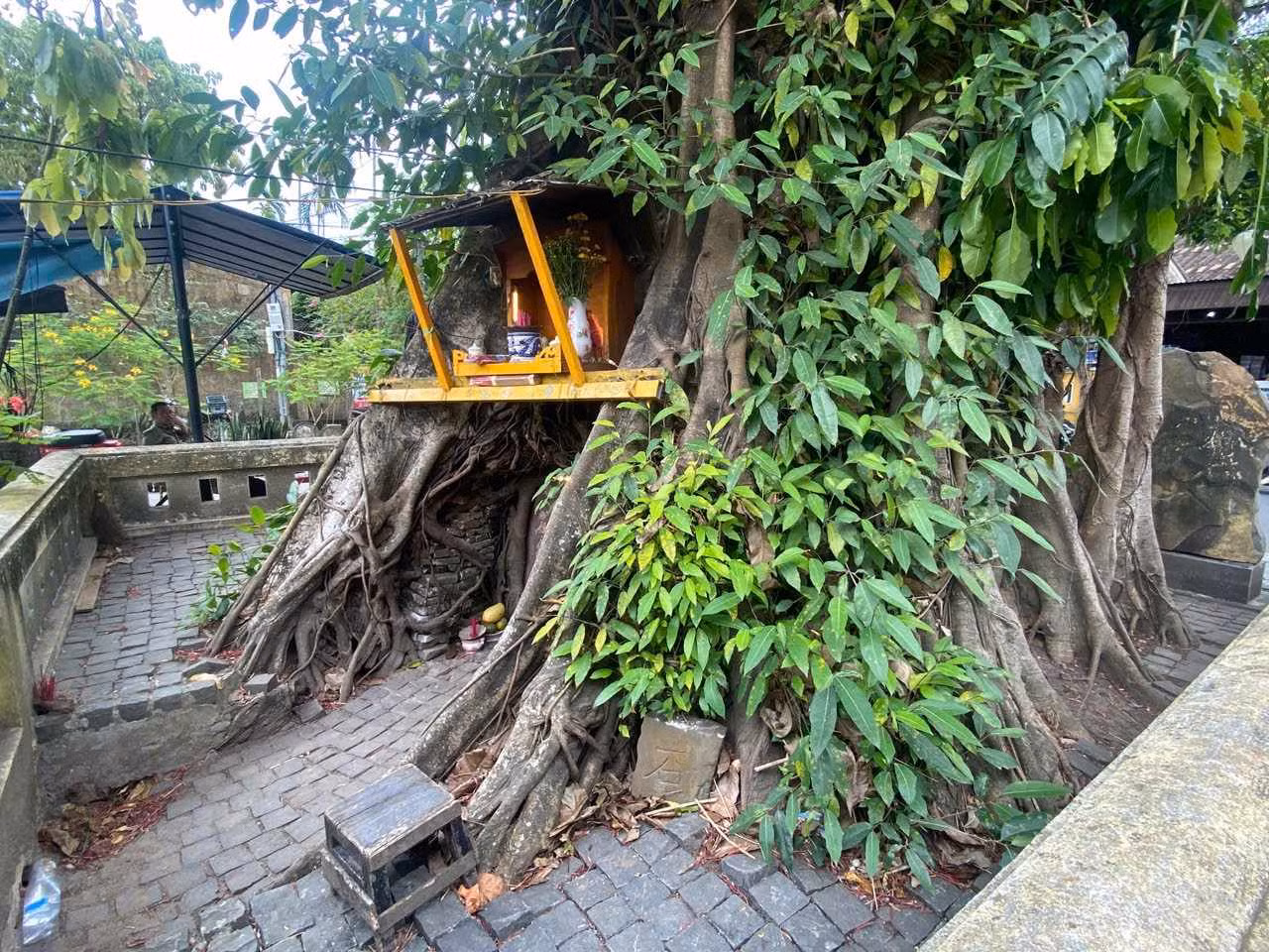 Bia cổ trấn yểm dưới gốc cây đa gần chùa Cầu, Hội An bị phá. Bia cổ trấn yểm dưới gốc cây đa gần chùa Cầu, Hội An bị phá.