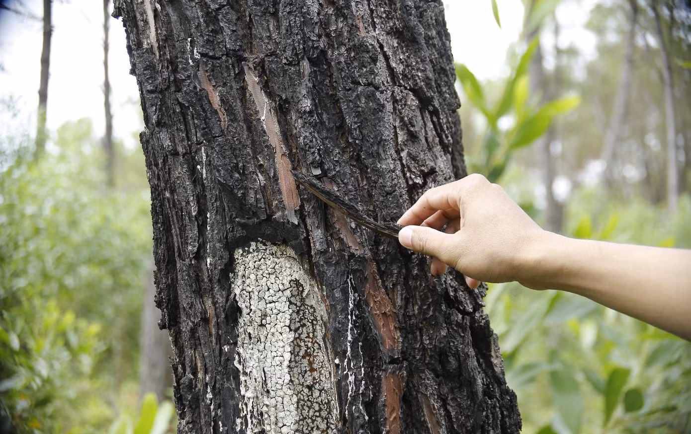 Công an đang điều tra làm rõ vụ việc.