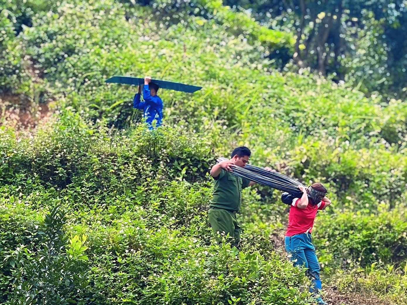 Để triển khai, đoàn đã huy động góp sức của đông đảo bạn trẻ huyện Thăng Bình, đoàn viên thanh niên xã Ga Ry.