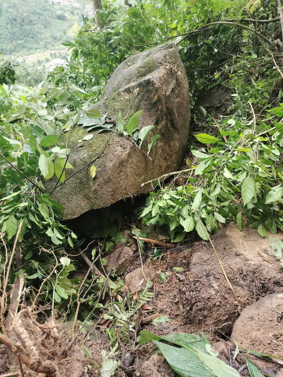 Nhiều tảng đá lớn rơi xuống làng Tu Hon, xã Trà Don, huyện Nam Trà My, Quảng Nam. Ảnh CQCC Nhiều tảng đá lớn rơi xuống làng Tu Hon, xã Trà Don, huyện Nam Trà My, Quảng Nam. Ảnh CQCC