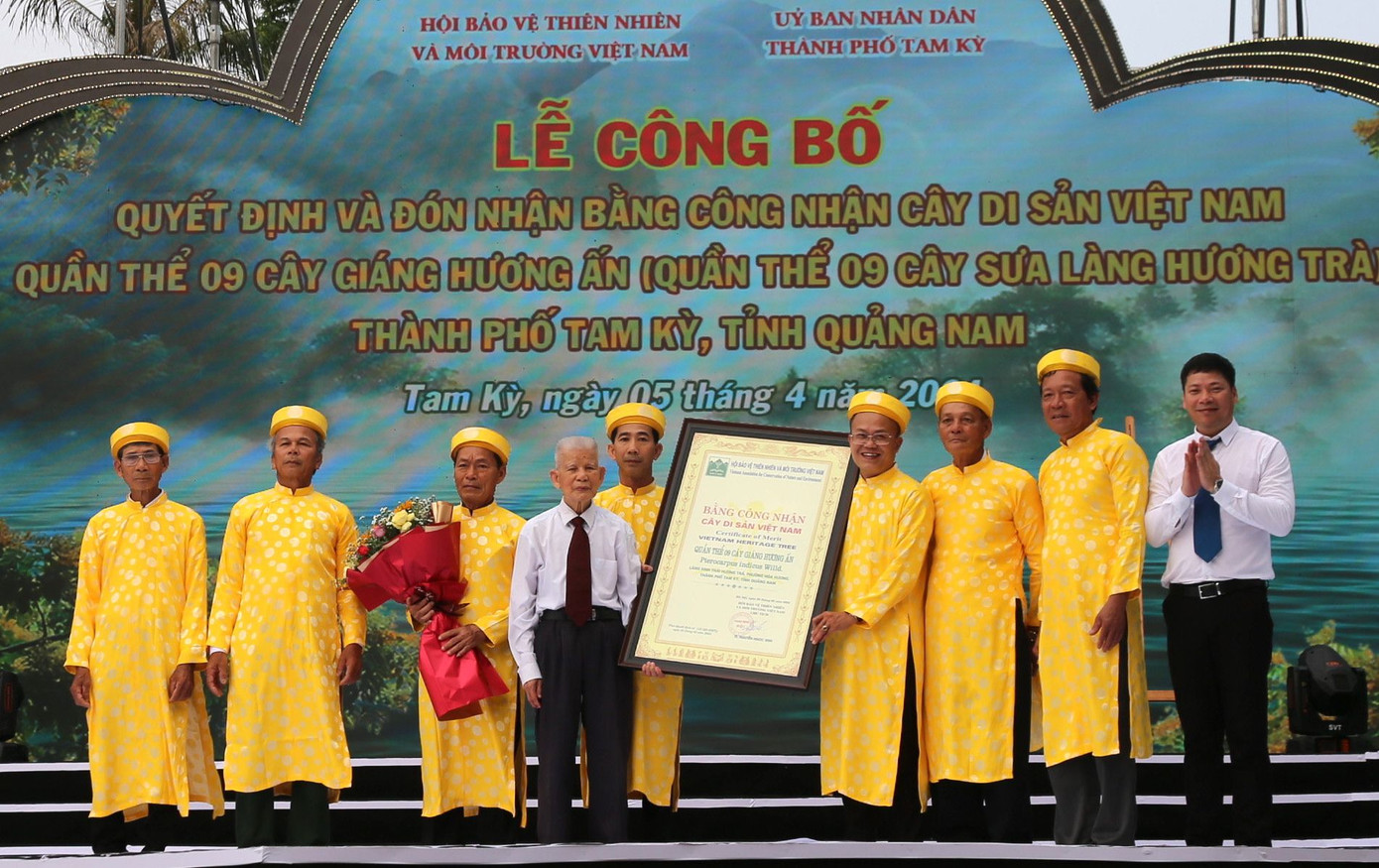 Sáng 5/4, UBND thành phố Tam Kỳ (Quảng Nam) tổ chức Lễ công bố quyết định và đón nhận Bằng công nhận Cây Di sản Việt Nam đối với quần thể 9 cây giáng hương ấn (tên thường gọi là cây sưa) ở làng Hương Trà, phường Hòa Hương, thành phố Tam Kỳ. Ảnh: Hoài Văn Sáng 5/4, UBND thành phố Tam Kỳ (Quảng Nam) tổ chức Lễ công bố quyết định và đón nhận Bằng công nhận Cây Di sản Việt Nam đối với quần thể 9 cây giáng hương ấn (tên thường gọi là cây sưa) ở làng Hương Trà, phường Hòa Hương, thành phố Tam Kỳ. Ảnh: Hoài Văn