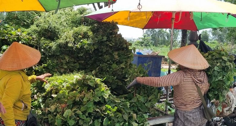 Tại nhiều chợ đã rộn ràng không khí tết Đoan Ngọ