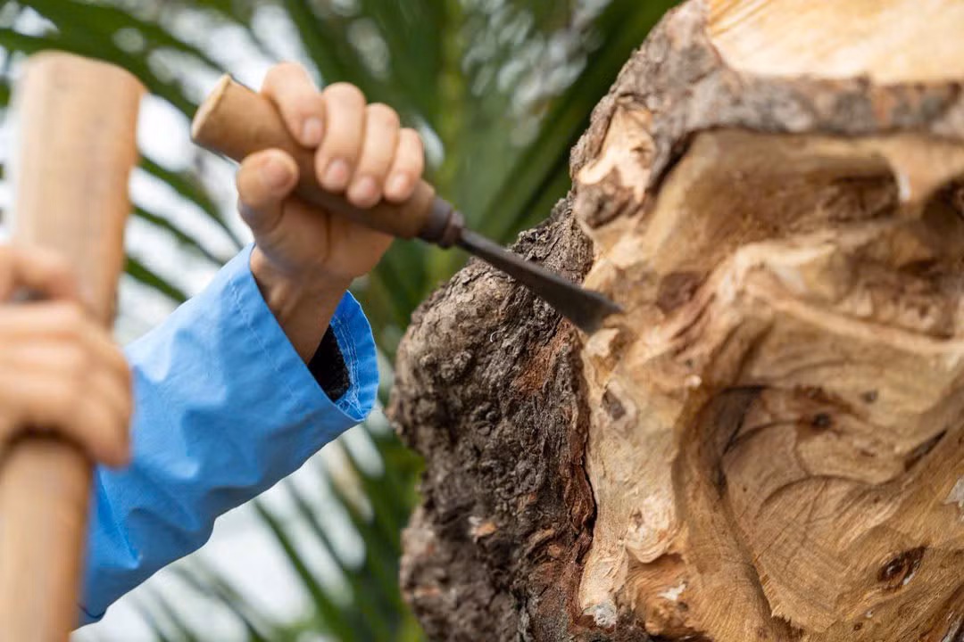 Nghệ nhân làng mộc Kim Bồng trình nghề điêu khắc mộc. Nghệ nhân làng mộc Kim Bồng trình nghề điêu khắc mộc.