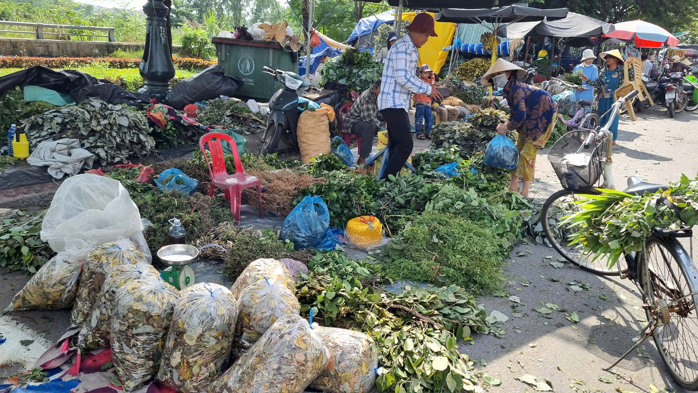 Rất nhiều loại lá như hương nhu, hoa khóm, lá nổ, ngát hương, huỳnh đàn…giá từ 10 - 20 nghìn đồng/ bó.