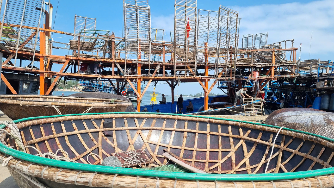 Không khí tất bật ở cảng cá Tam Quang những ngày đầu năm mới.