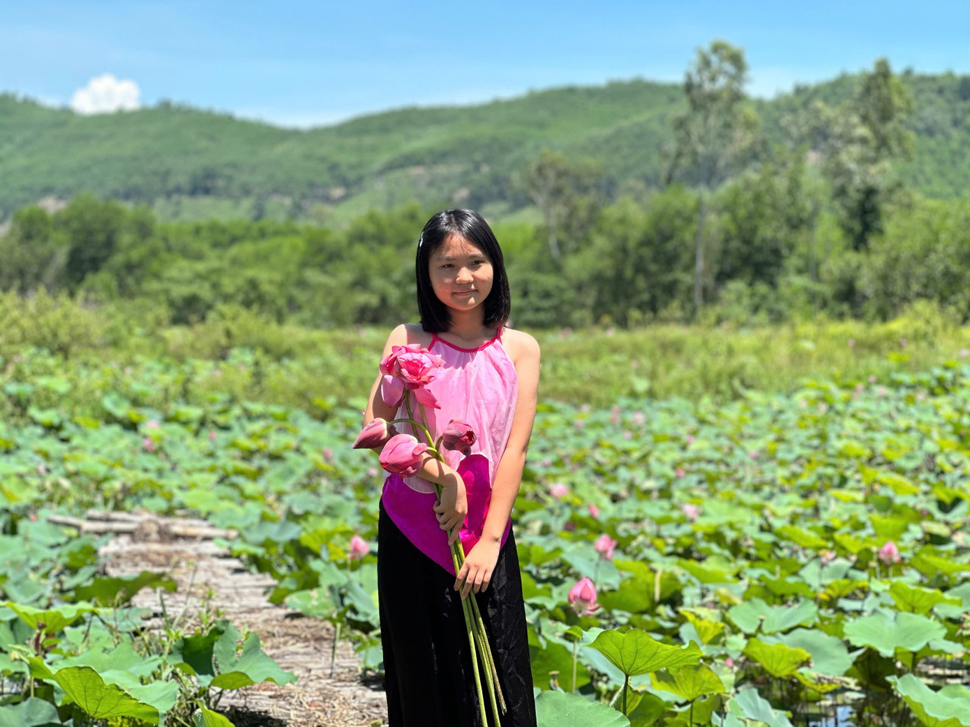 Thời điểm này, sen đang vào mùa nở hồng rực rỡ khiến nhiều du khách mê đắm.