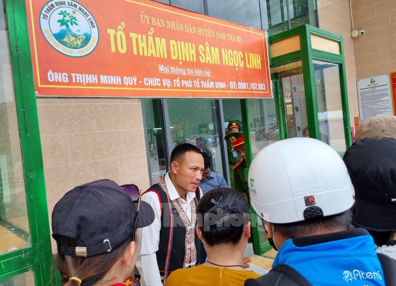 Tổ kiểm định sâm được bố trí kiểm tra kịp thời ngăn chặn sâm giả. Tổ kiểm định sâm được bố trí kiểm tra kịp thời ngăn chặn sâm giả.