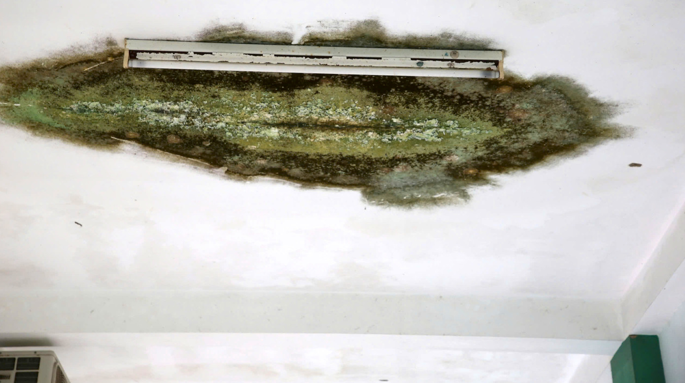 Khung cảnh hoang tàn, nhếch nhác.