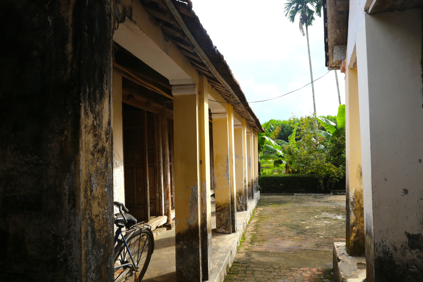 Khuôn viên xanh mát.