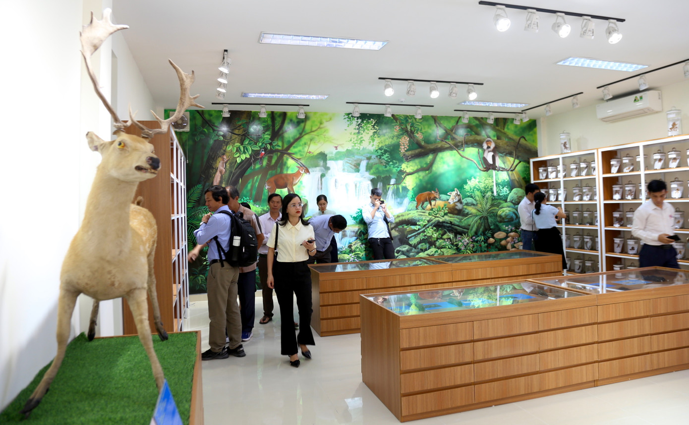 Bảo tàng đa dạng sinh học tỉnh Quảng Nam