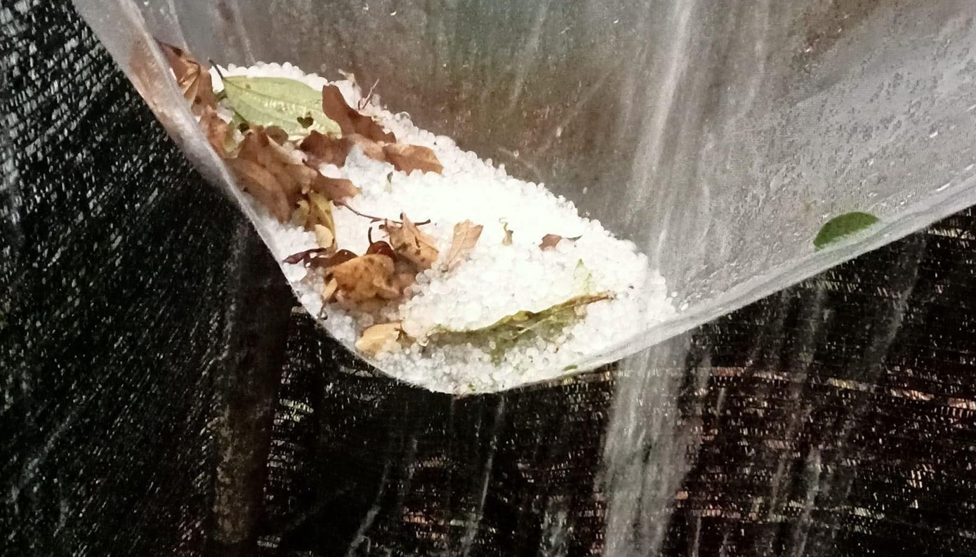 Mưa đá xuất hiện tại xã Trà Mai, Trà Linh, huyện miền núi Nam Trà My, Quảng Nam. Ảnh FB Mưa đá xuất hiện tại xã Trà Mai, Trà Linh, huyện miền núi Nam Trà My, Quảng Nam. Ảnh FB