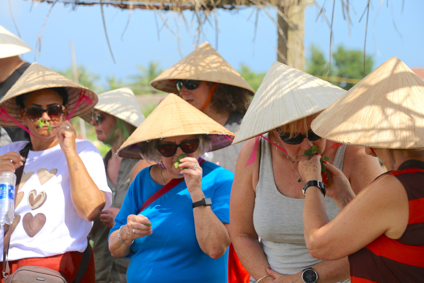 Khách Tây bị mê hoặc bởi mùi thơm đặc trưng tỏa ra từ những cánh rau bé xíu.