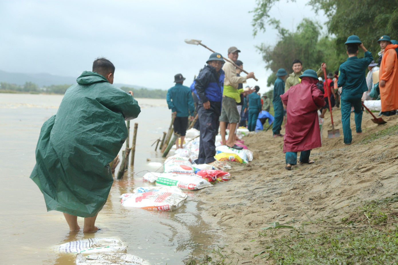 Hàng rào cọc tre, bao cát gia cố bờ sông. Cùng ngày, lãnh đạo UBND huyện cùng Ban Phòng chống thiên tai và cứu nạn cứu hộ huyện đã đến kiểm tra và đưa ra phương án khắc phục tạm thời bằng đóng cọc tre, bao tải cát để giữ chân mái taluy tạm không cho ảnh hưởng tuyến giao thông. Ông Nguyễn Hảo – Bí thư Huyện ủy Đại Lộc cho biết trước mắt đã chỉ đạo UBND huyện yêu cầu địa phương khẩn trương gia cố, khắc phục tình trạng sạt lở. Đồng thời địa phương sẽ nghiên cứu tìm phương án khắc phục lâu dài, nếu vượt khả năng thì sẽ báo cáo UBND tỉnh Quảng Nam hỗ trợ kịp thời để không ảnh hưởng đến đời sống, sản xuất của người dân. Hàng rào cọc tre, bao cát gia cố bờ sông. Cùng ngày, lãnh đạo UBND huyện cùng Ban Phòng chống thiên tai và cứu nạn cứu hộ huyện đã đến kiểm tra và đưa ra phương án khắc phục tạm thời bằng đóng cọc tre, bao tải cát để giữ chân mái taluy tạm không cho ảnh hưởng tuyến giao thông. Ông Nguyễn Hảo – Bí thư Huyện ủy Đại Lộc cho biết trước mắt đã chỉ đạo UBND huyện yêu cầu địa phương khẩn trương gia cố, khắc phục tình trạng sạt lở. Đồng thời địa phương sẽ nghiên cứu tìm phương án khắc phục lâu dài, nếu vượt khả năng thì sẽ báo cáo UBND tỉnh Quảng Nam hỗ trợ kịp thời để không ảnh hưởng đến đời sống, sản xuất của người dân.