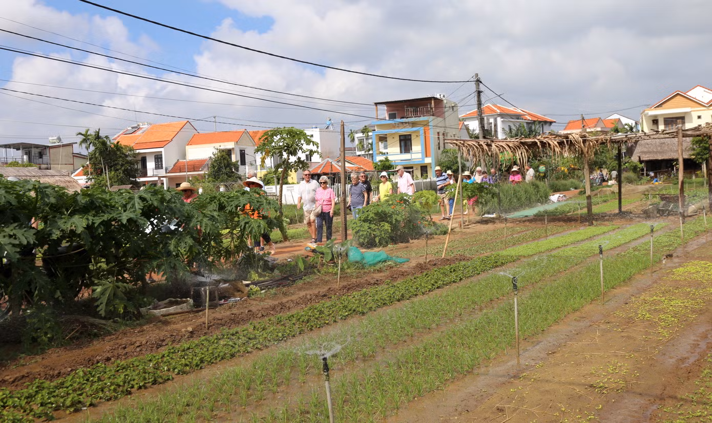 Du khách thích mê bên những luống rau xanh mướt, không khí trong lành.