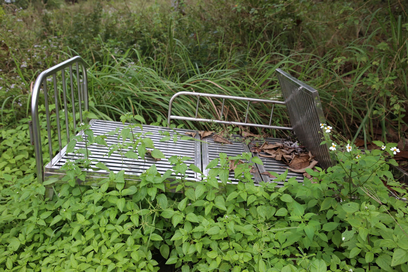 Khung cảnh hoang tàn, nhếch nhác.