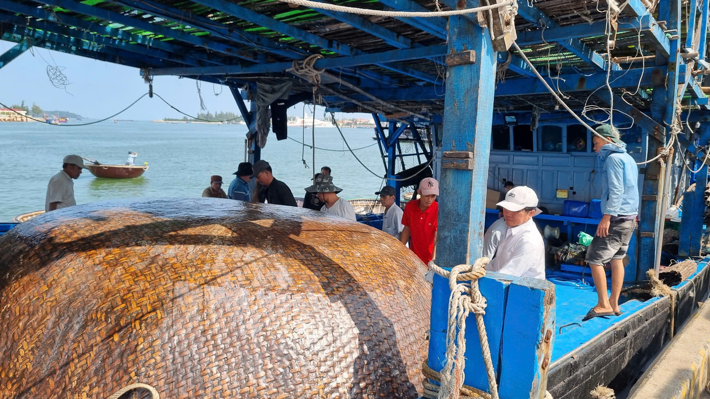 Không khí tại đây nhộn nhịp và hối hả. Các ngư dân cho hay, tất cả đều được chuẩn bị kỹ càng, đầy đủ nhất, hy vọng chuyến vươn khơi đầu năm thuận lợi, may mắn, ăm ắp cá mực.