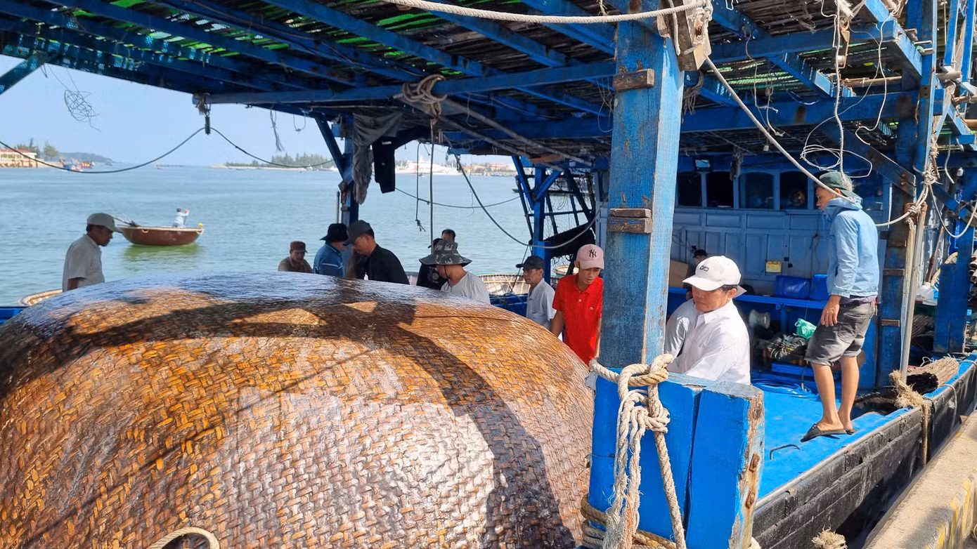 Không khí tại đây nhộn nhịp và hối hả. Các ngư dân cho hay, tất cả đều được chuẩn bị kỹ càng, đầy đủ nhất, hy vọng chuyến vươn khơi đầu năm thuận lợi, may mắn, ăm ắp cá mực.
