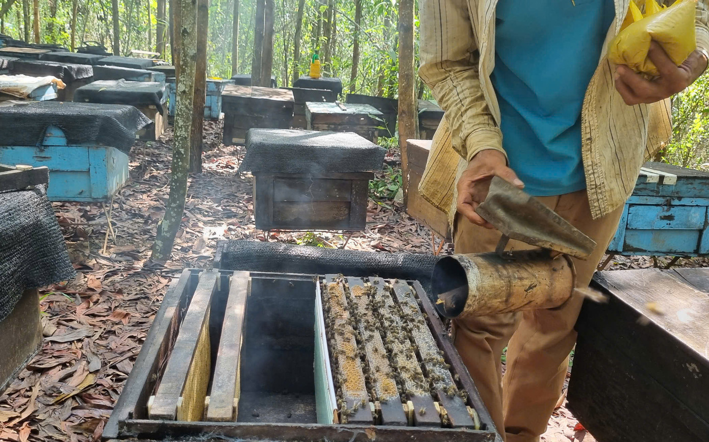 Mùa mưa gió, người nuôi phải bổ sung thêm thức ăn cho ong để dưỡng đàn.