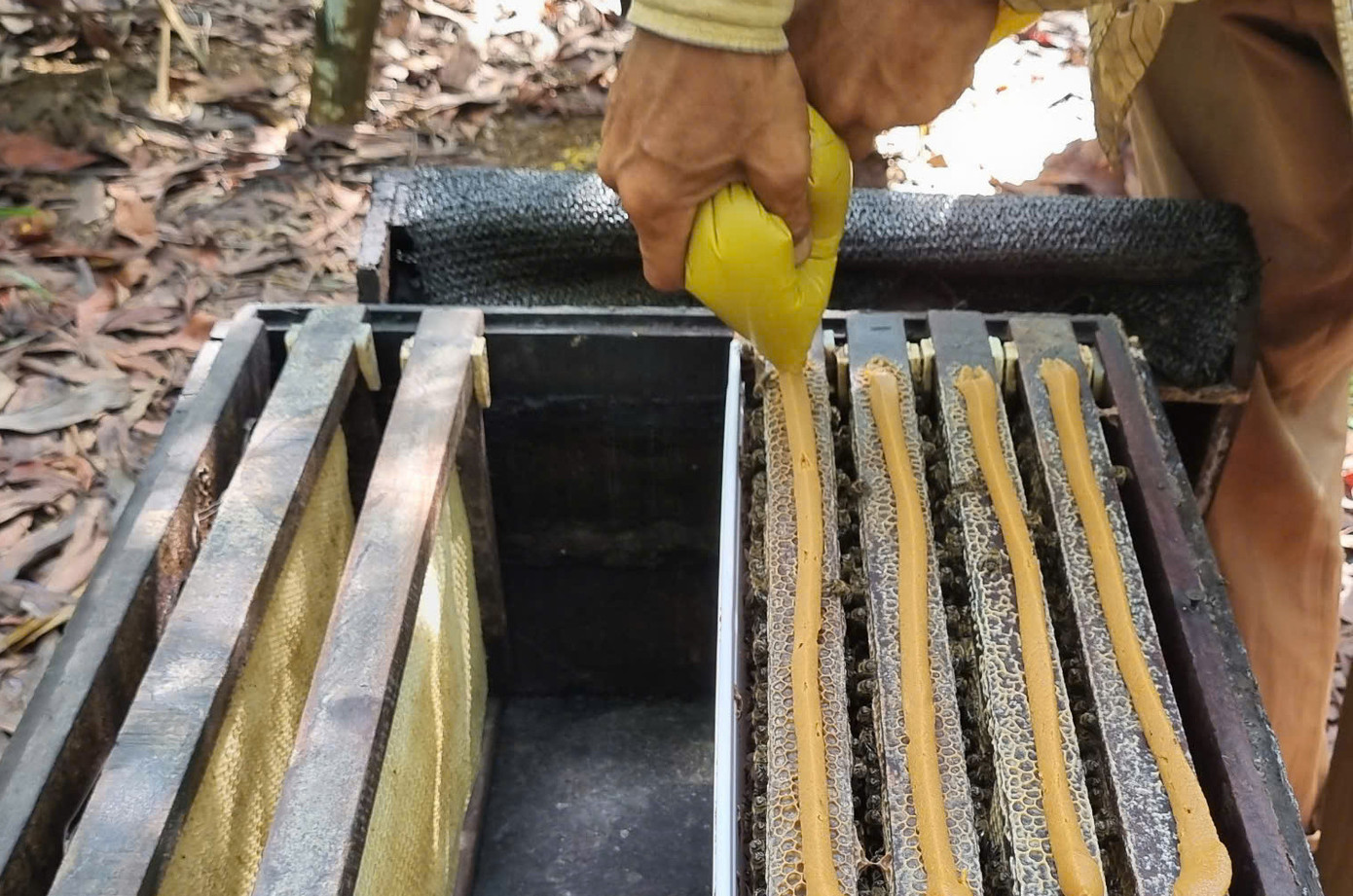 Ống khói dùng để dụ ong lên, đổ thức ăn lên thành thì đàn ong xúm xít đậu quanh