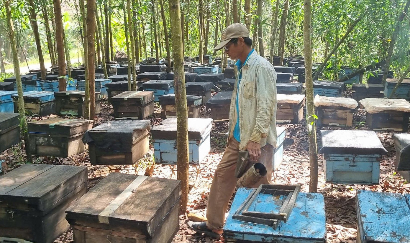 Ống khói dùng để dụ ong lên, đổ thức ăn lên thành thì đàn ong xúm xít đậu quanh