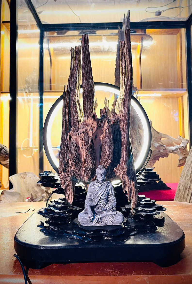 Sản phẩm cây bonsai do Hiền và Đức chế tác.