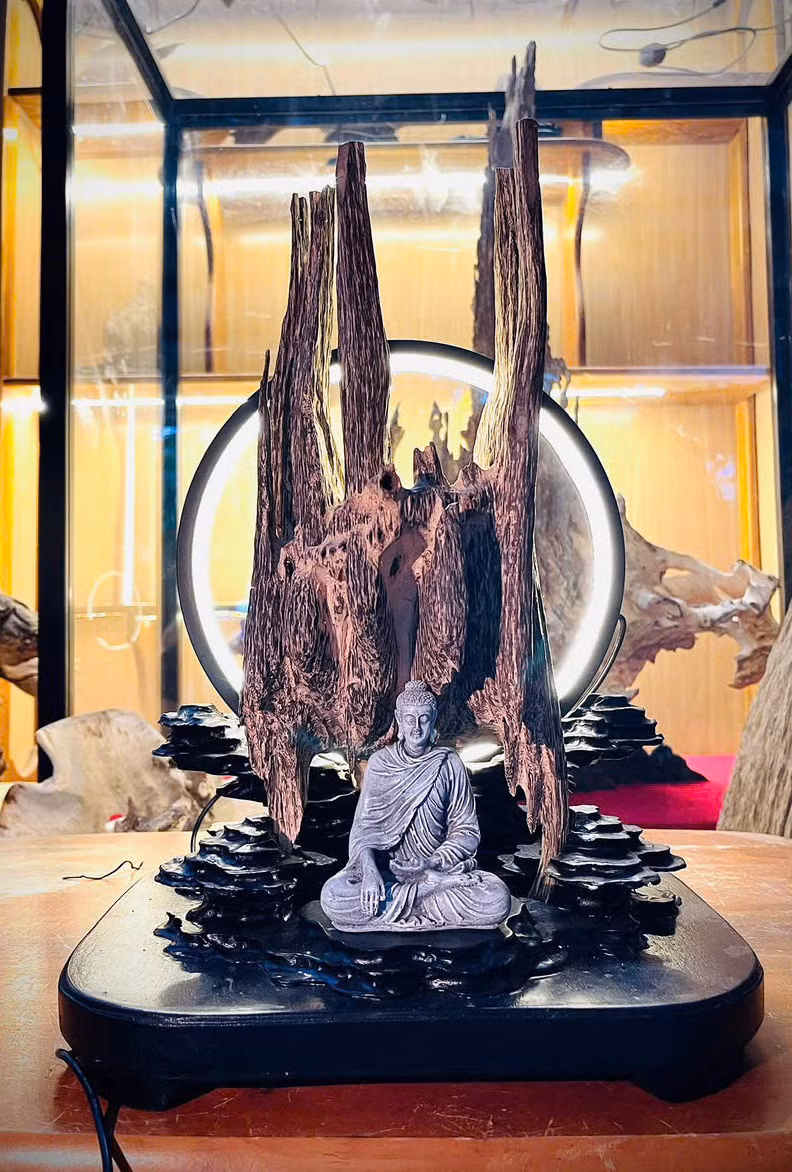Sản phẩm cây bonsai do Hiền và Đức chế tác. Sản phẩm cây bonsai do Hiền và Đức chế tác.