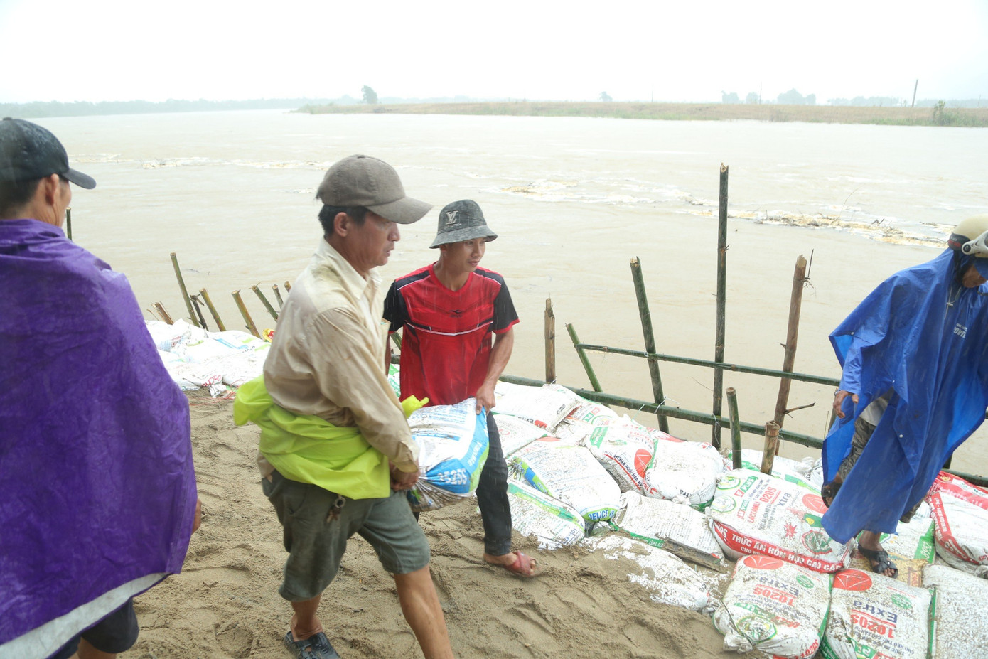 Sạt lở nghiêm trọng bờ sông Vu Gia do mưa lớn, dân chung tay cùng lực lượng chức năng gia cố. Chủ tịch UBND xã Đại Cường (huyện Đại Lộc, Quảng Nam) Phan Phước Mơ, cho biết, mưa lớn kéo dài hai ngày qua khiến nước thượng nguồn đổ về, nhiều điểm trên bờ sông Vu Gia qua địa bàn bị sạt lở nghiêm trọng, đe dọa đến hơn 200 hộ dân. Sạt lở nghiêm trọng bờ sông Vu Gia do mưa lớn, dân chung tay cùng lực lượng chức năng gia cố. Chủ tịch UBND xã Đại Cường (huyện Đại Lộc, Quảng Nam) Phan Phước Mơ, cho biết, mưa lớn kéo dài hai ngày qua khiến nước thượng nguồn đổ về, nhiều điểm trên bờ sông Vu Gia qua địa bàn bị sạt lở nghiêm trọng, đe dọa đến hơn 200 hộ dân.