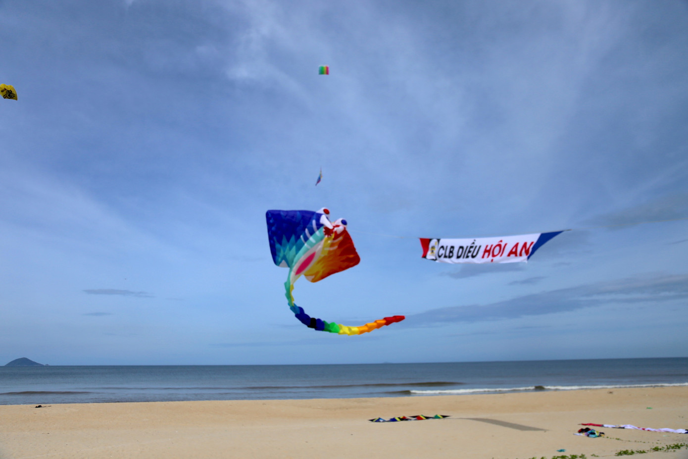 Lễ hội có sự tham gia của các đội diều đến từ 13 quốc gia và vùng lãnh thổ: Việt Nam, Ấn Độ, Hàn Quốc, Indonesia, Malaysia, Nhật Bản, Philippines, Singapore, Thái Lan, Trung Quốc, Úc, Đài Loan (Trung Quốc) và Hồng Kông (Trung Quốc). Lễ hội có sự tham gia của các đội diều đến từ 13 quốc gia và vùng lãnh thổ: Việt Nam, Ấn Độ, Hàn Quốc, Indonesia, Malaysia, Nhật Bản, Philippines, Singapore, Thái Lan, Trung Quốc, Úc, Đài Loan (Trung Quốc) và Hồng Kông (Trung Quốc).