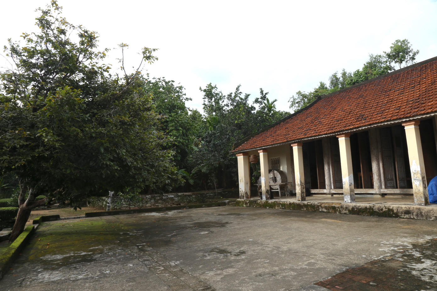 Khuôn viên xanh mát.