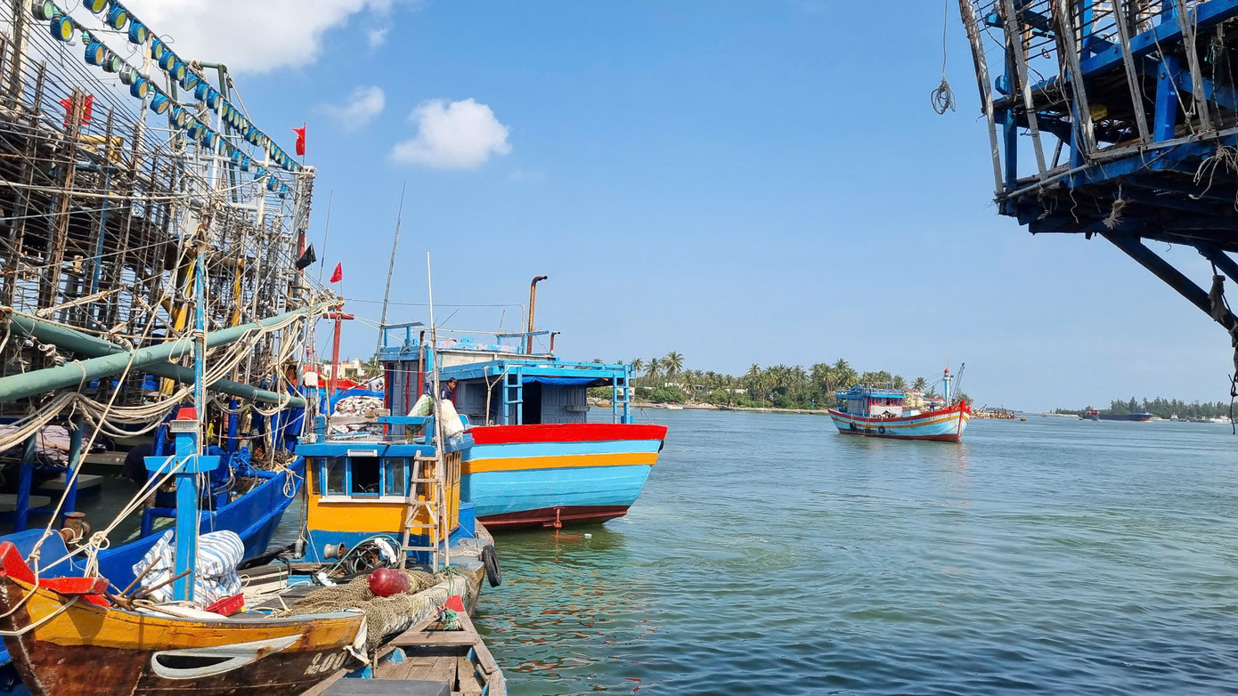 Chuyến vươn khơi đầu năm mang theo hy vọng may mắn đón lộc biển, tàu thuyền ăm ắp cá mực.