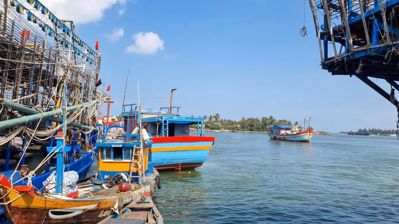 Chuyến vươn khơi đầu năm mang theo hy vọng may mắn đón lộc biển, tàu thuyền ăm ắp cá mực.