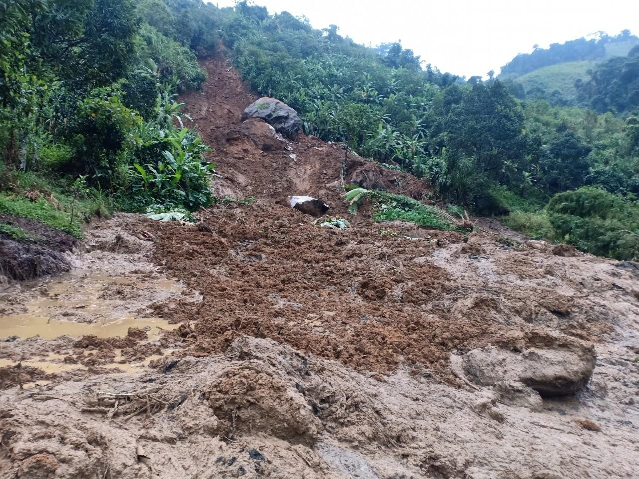 Kinh hoàng quả đồi bất ngờ đổ sập