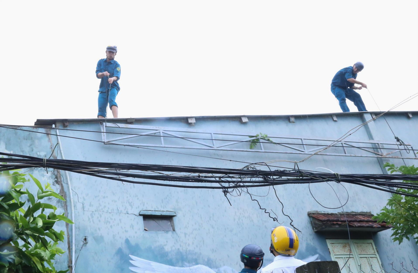 Công việc được triển khai khẩn trương.