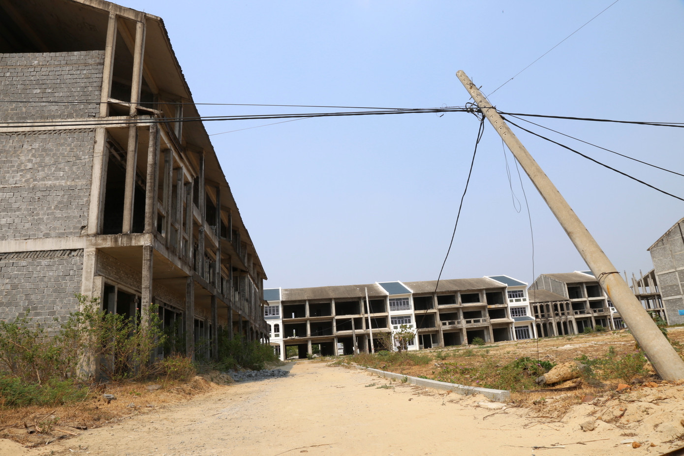 Khu đô thị kiểu mẫu thành nơi chăn thả bò.