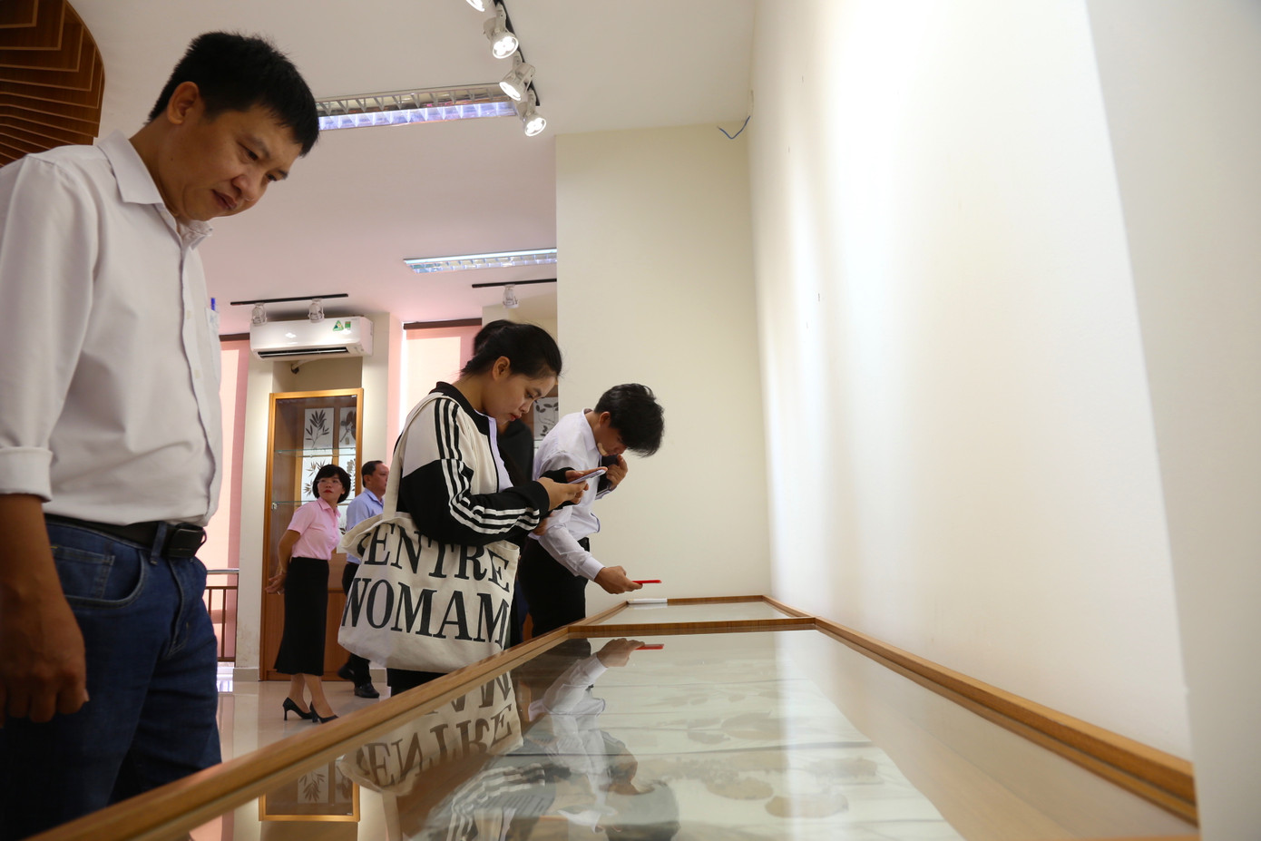 Bảo tàng hiện đã sưu tập, lưu giữ hơn 3.700 bức ảnh; hơn 1.200 mẫu vật, tiêu bản động, thực vật