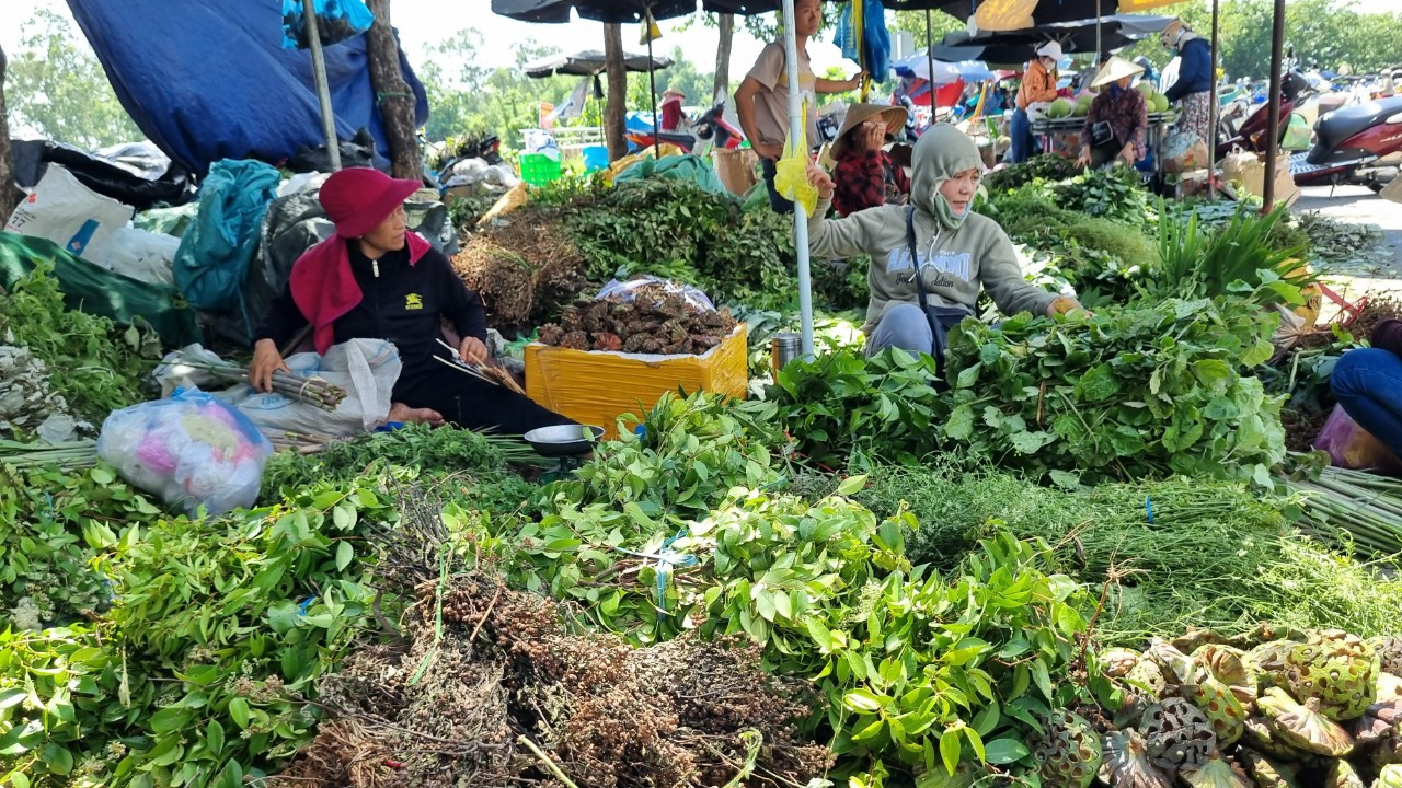 Những ngày này, người dân Quảng Nam rộn ràng đi chợ để mua "lá mùng 5" về nấu nước uống.