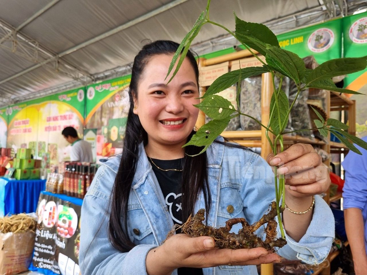 Những cây sâm được mang từ vùng núi Ngọc Linh về bán tại chợ. Những cây sâm được mang từ vùng núi Ngọc Linh về bán tại chợ.