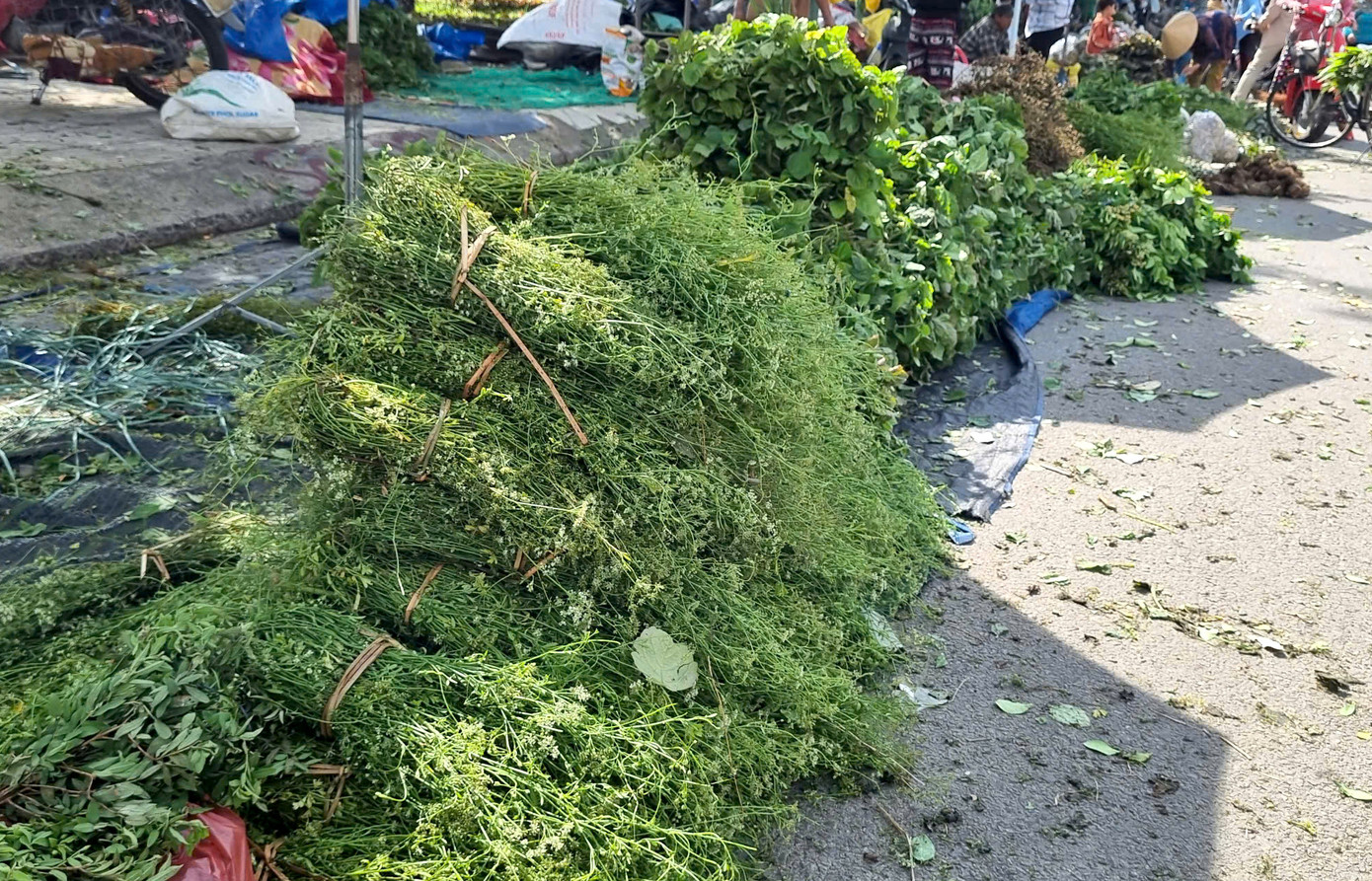 Rất nhiều loại lá như hương nhu, hoa khóm, lá nổ, ngát hương, huỳnh đàn…giá từ 10 - 20 nghìn đồng/ bó.