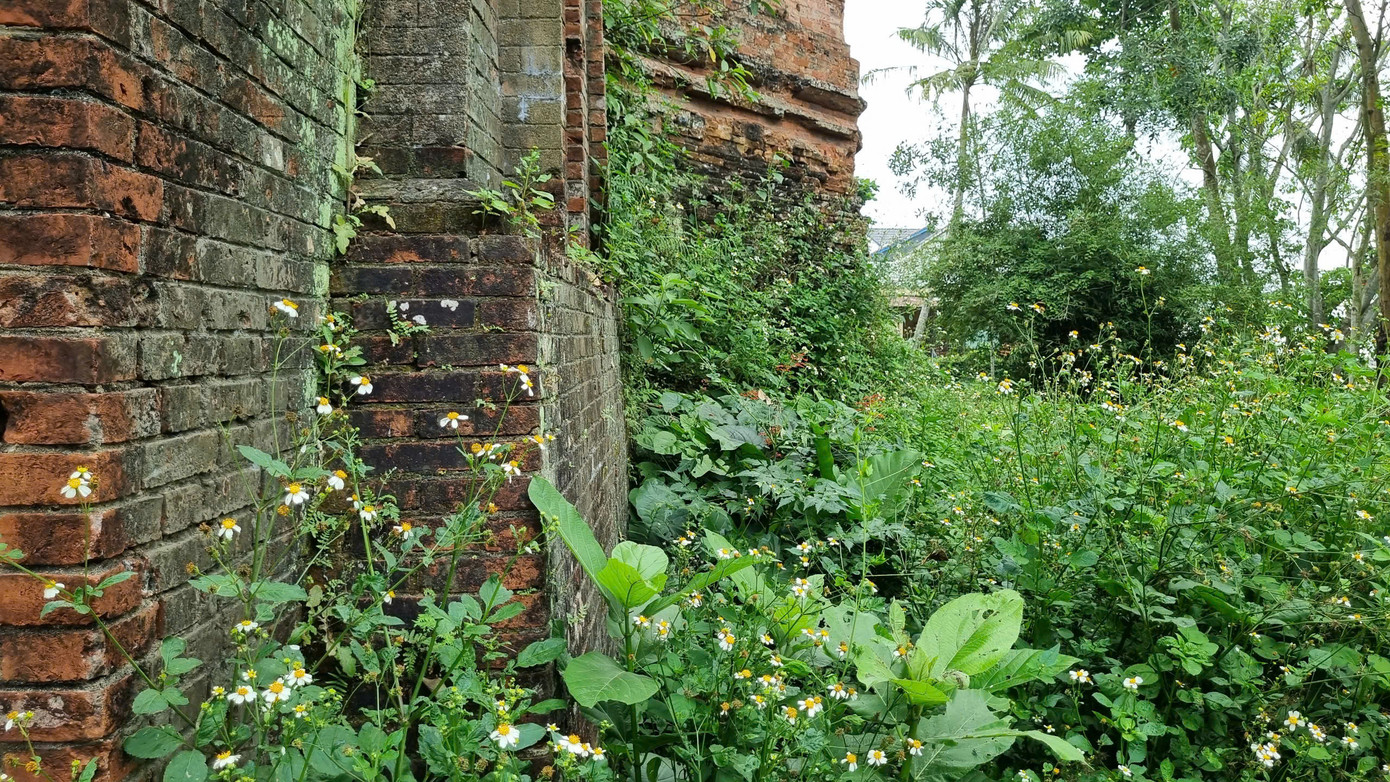 Rêu phong tháp cổ.