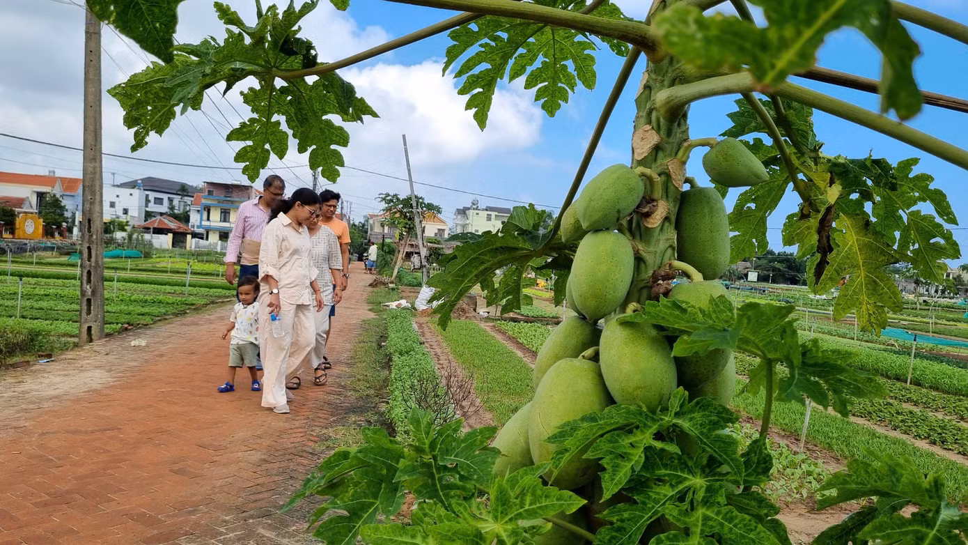 Du khách thích mê bên những luống rau xanh mướt, không khí trong lành.