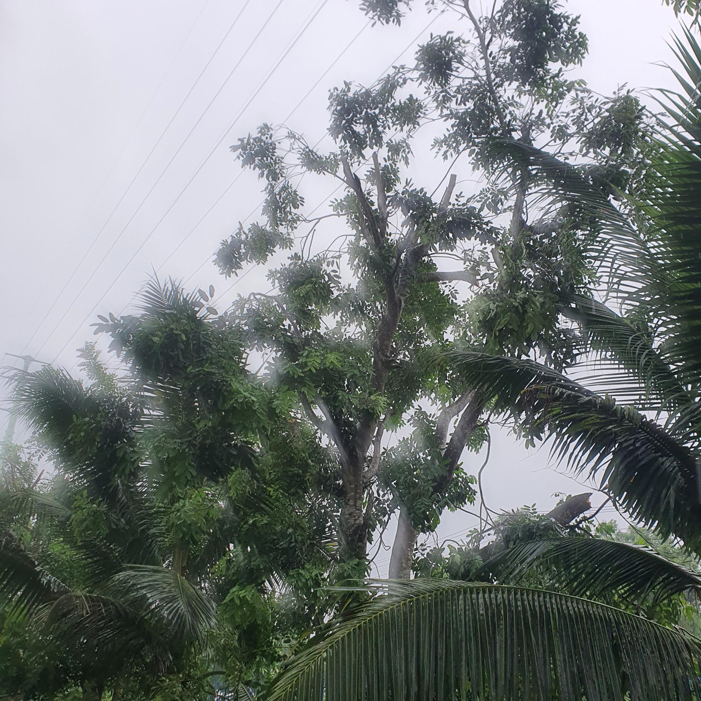 Bão đổ bộ đất liền các tỉnh Thừa Thiên Huế – Quảng Ngãi ảnh 59