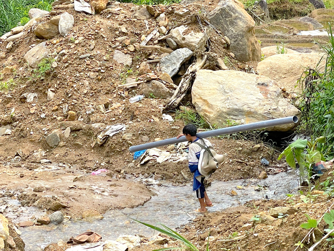 Những em nhỏ cũng tham gia.