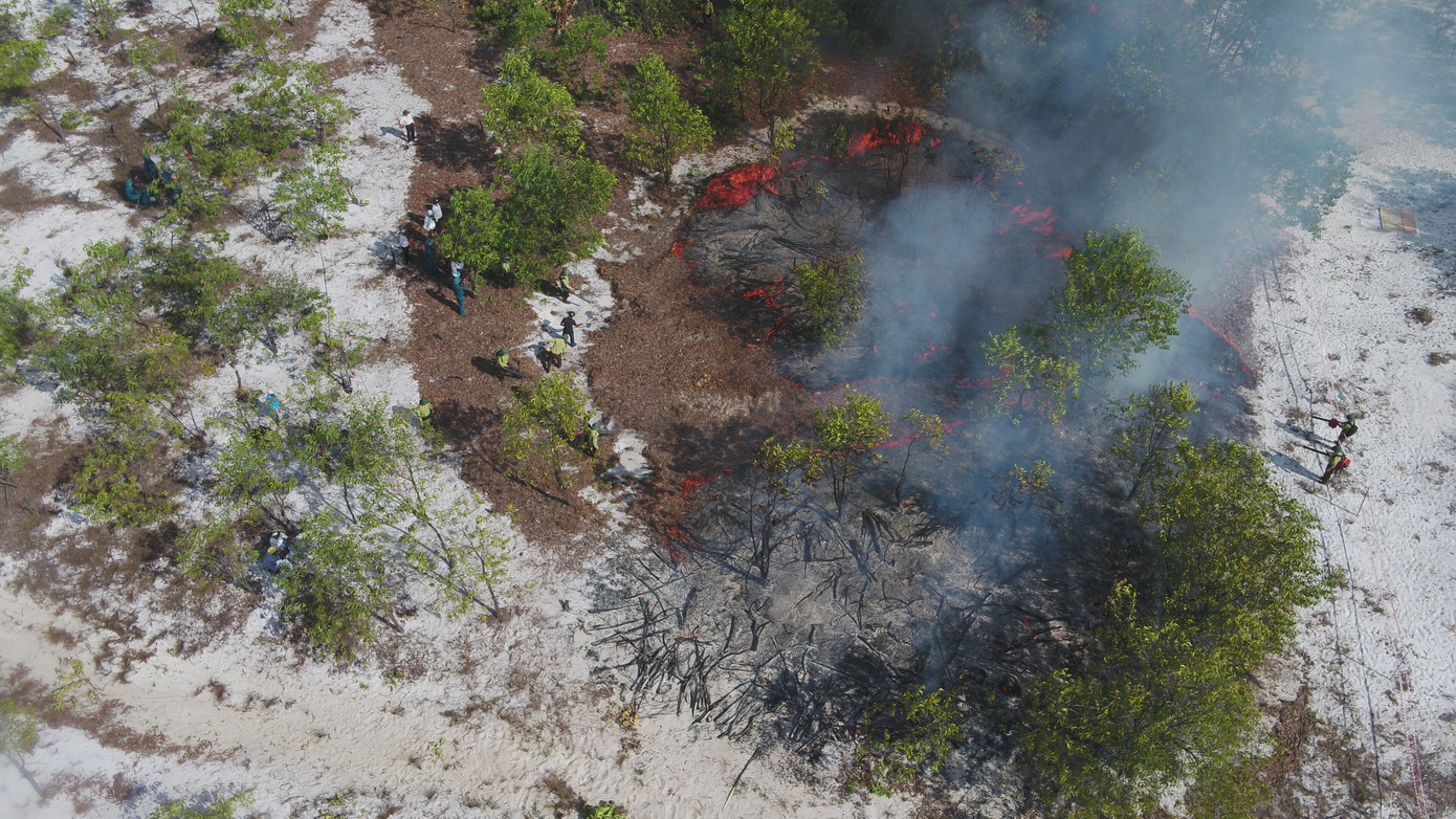 Hình ảnh buổi diễn tập phòng cháy chữa cháy rừng tại khu vực rừng thuộc thôn Bình Trúc, xã Bình Sa, huyện Thăng Bình. Ảnh H.P.P Hình ảnh buổi diễn tập phòng cháy chữa cháy rừng tại khu vực rừng thuộc thôn Bình Trúc, xã Bình Sa, huyện Thăng Bình. Ảnh H.P.P