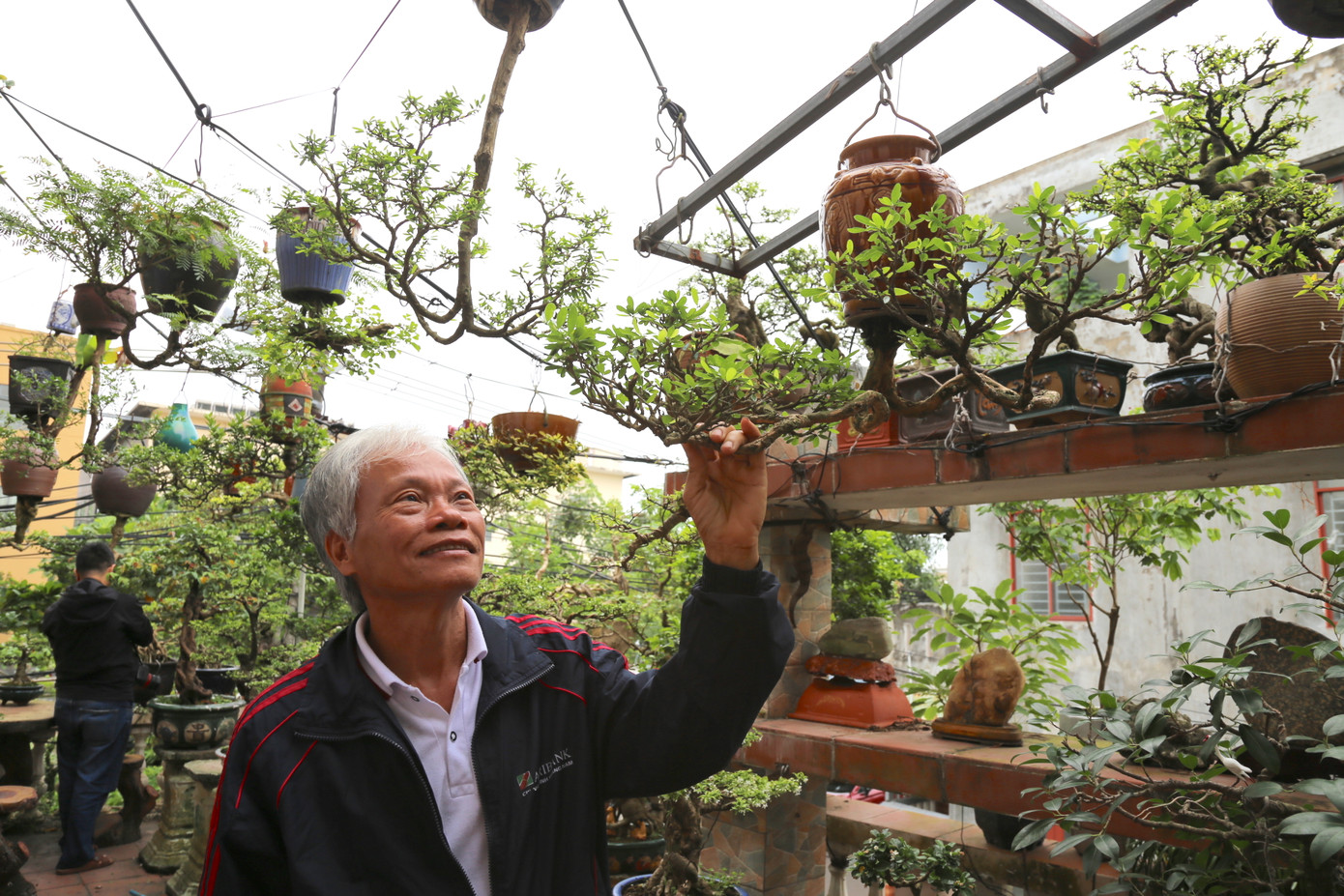 Ông Lê Thạnh (63 tuổi, ở Quảng Nam) tạo tác hàng trăm tác phẩm bonsai ngược. Ảnh: Hoài Văn.