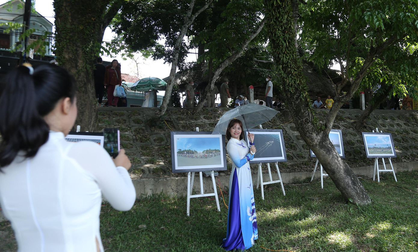 Thiếu nữ làm duyên bên vườn sưa trăm tuổi.